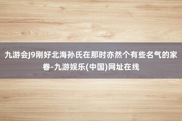 九游会J9刚好北海孙氏在那时亦然个有些名气的家眷-九游娱乐(中国)网址在线